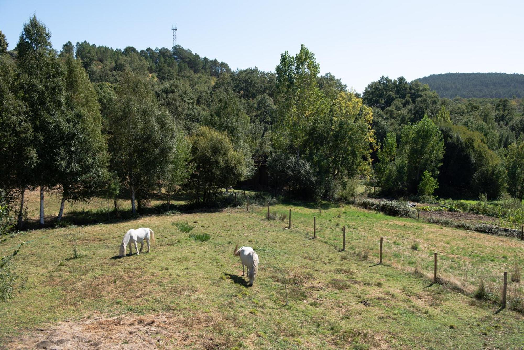 A Lagosta Perdida Montezinho Luaran gambar